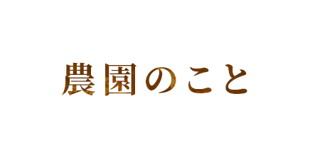 農園のこと